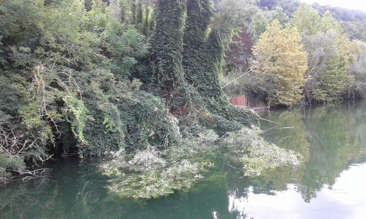 B&B In Riva Al Lago Αβιλιάνα Εξωτερικό φωτογραφία